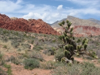 Red Rock Conservation Area